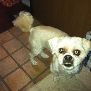 Meet your Posher, Gail